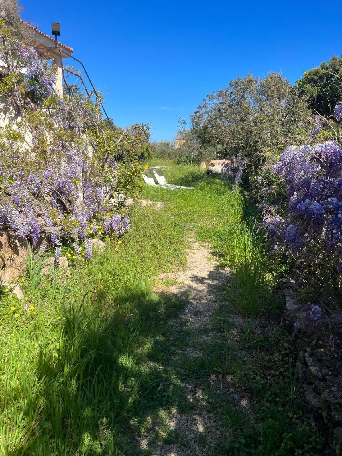 Stanza Privata Con Giardino Hotel La Maddalena  Buitenkant foto